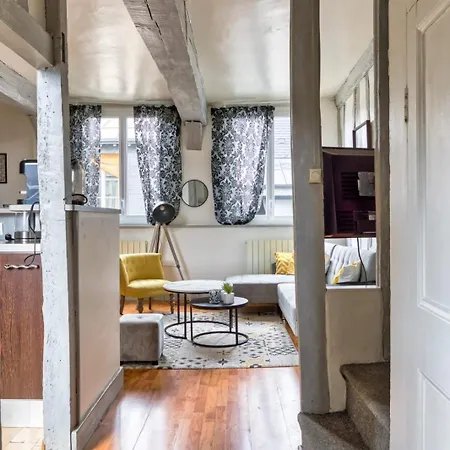 公寓 Le Auguste Duplex Avec Terrasse 鲁昂