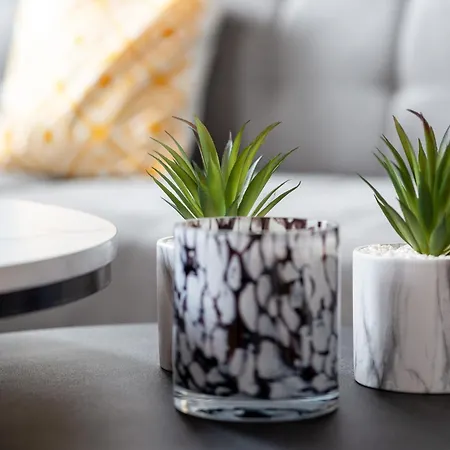 Le Auguste Duplex Avec Terrasse